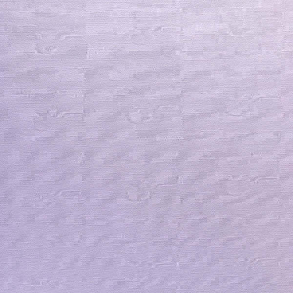 ENCORE PAPER ENCORE PAPER CANVAS TEXTURE MORNING GLORY CARDSTOCK 12x12