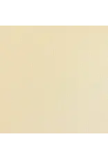ENCORE PAPER ENCORE PAPER CANVAS TEXTURE VANILLA ICE CREAM CARDSTOCK 12x12