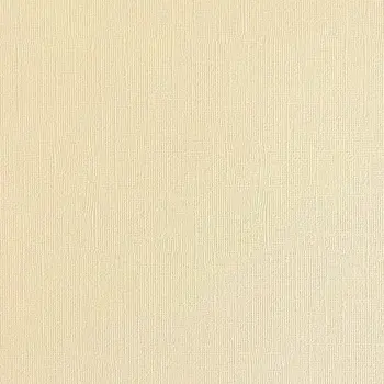 ENCORE PAPER ENCORE PAPER CANVAS TEXTURE VANILLA ICE CREAM CARDSTOCK 12x12