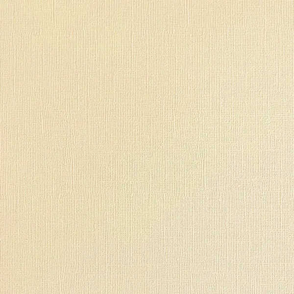 ENCORE PAPER ENCORE PAPER CANVAS TEXTURE VANILLA ICE CREAM CARDSTOCK 12x12