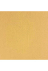 ENCORE PAPER ENCORE PAPER CANVAS TEXTURE DESERT SAND CARDSTOCK 12x12