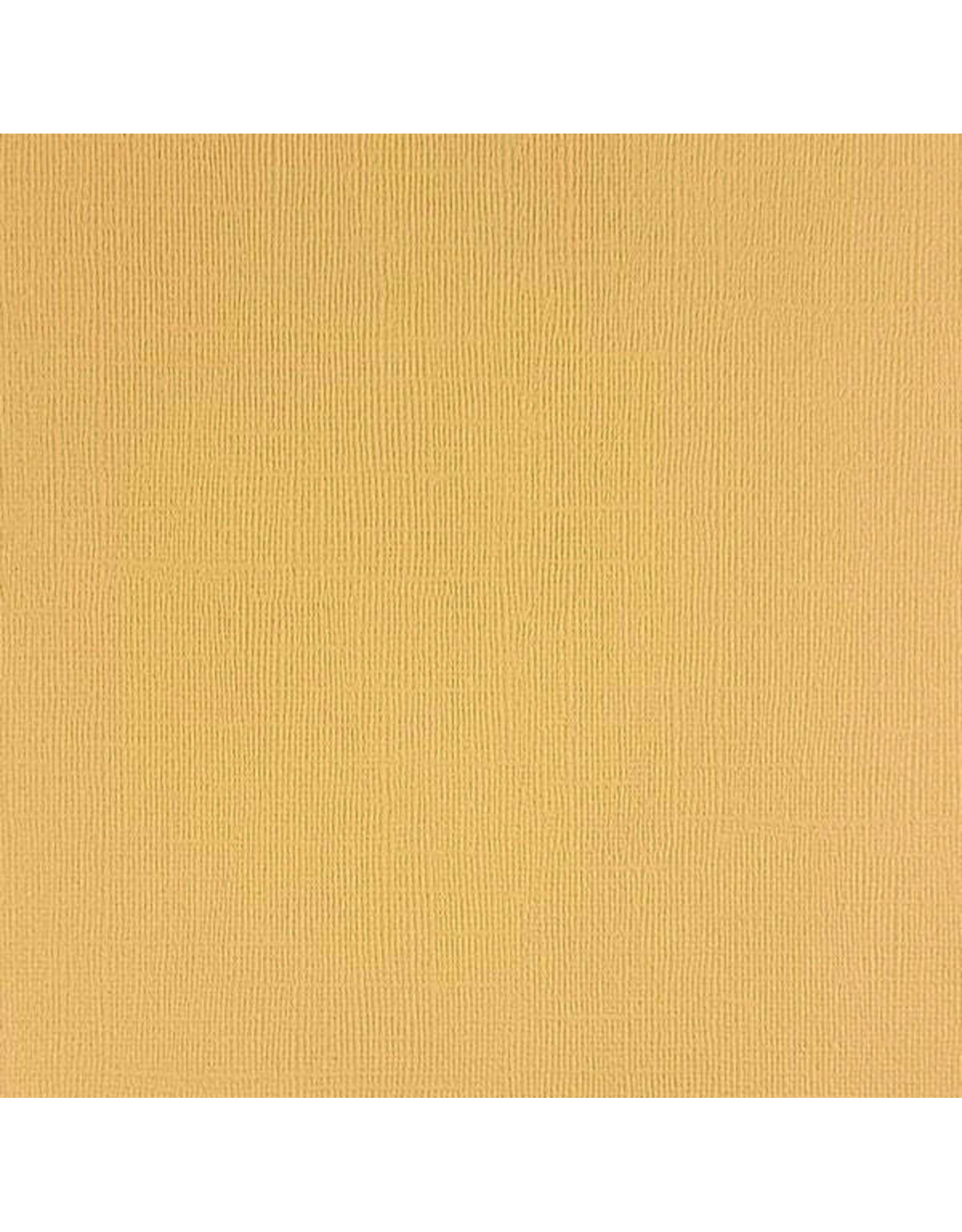 ENCORE PAPER ENCORE PAPER CANVAS TEXTURE DESERT SAND CARDSTOCK 12x12