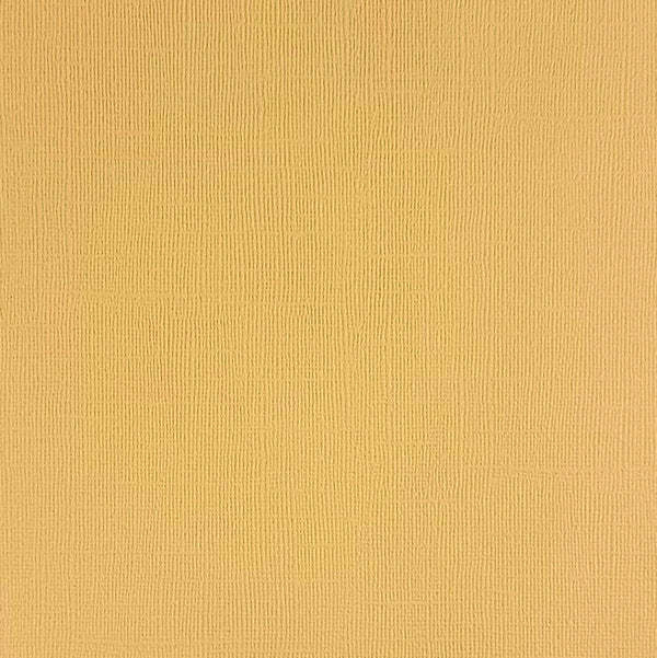 ENCORE PAPER ENCORE PAPER CANVAS TEXTURE DESERT SAND CARDSTOCK 12x12