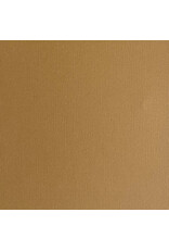 ENCORE PAPER ENCORE PAPER CANVAS TEXTURE HAZELNUT CARDSTOCK 12x12