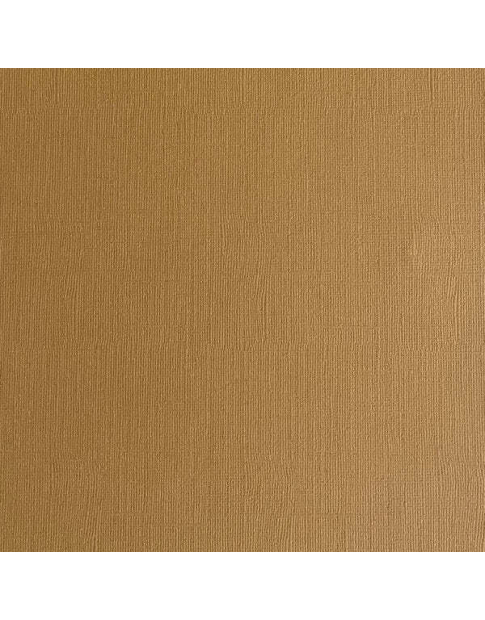 ENCORE PAPER ENCORE PAPER CANVAS TEXTURE HAZELNUT CARDSTOCK 12x12
