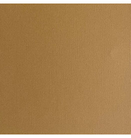 ENCORE PAPER ENCORE PAPER CANVAS TEXTURE HAZELNUT CARDSTOCK 12x12