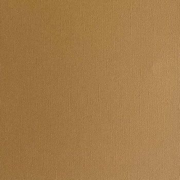ENCORE PAPER ENCORE PAPER CANVAS TEXTURE HAZELNUT CARDSTOCK 12x12