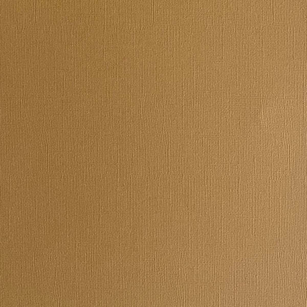 ENCORE PAPER ENCORE PAPER CANVAS TEXTURE HAZELNUT CARDSTOCK 12x12