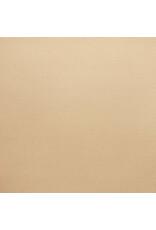 ENCORE PAPER ENCORE PAPER CANVAS TEXTURE LIGHT ALMOND CARDSTOCK 12x12