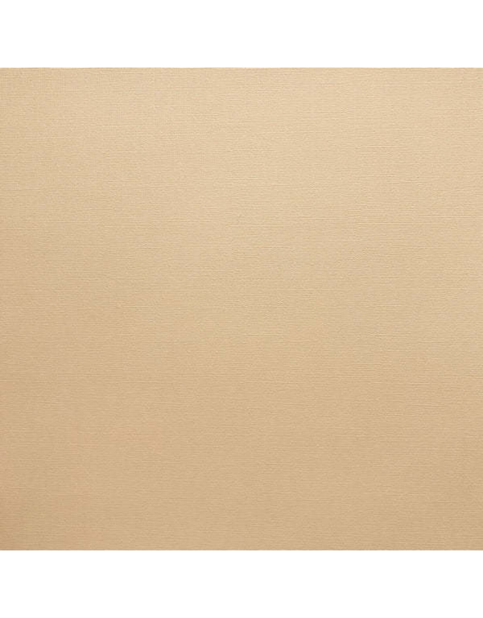 ENCORE PAPER ENCORE PAPER CANVAS TEXTURE LIGHT ALMOND CARDSTOCK 12x12