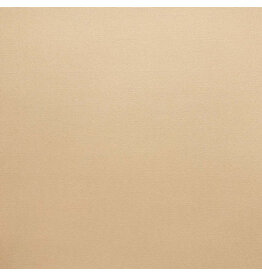 ENCORE PAPER ENCORE PAPER CANVAS TEXTURE LIGHT ALMOND CARDSTOCK 12x12