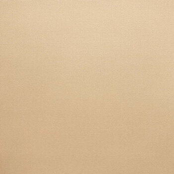 ENCORE PAPER ENCORE PAPER CANVAS TEXTURE LIGHT ALMOND CARDSTOCK 12x12