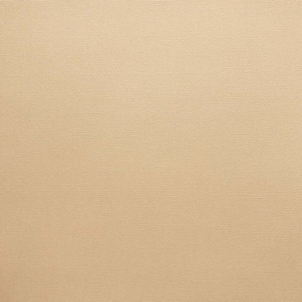 ENCORE PAPER ENCORE PAPER CANVAS TEXTURE LIGHT ALMOND CARDSTOCK 12x12