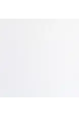 ENCORE PAPER ENCORE PAPER CANVAS TEXTURE SNOWY WHITE CARDSTOCK 12x12