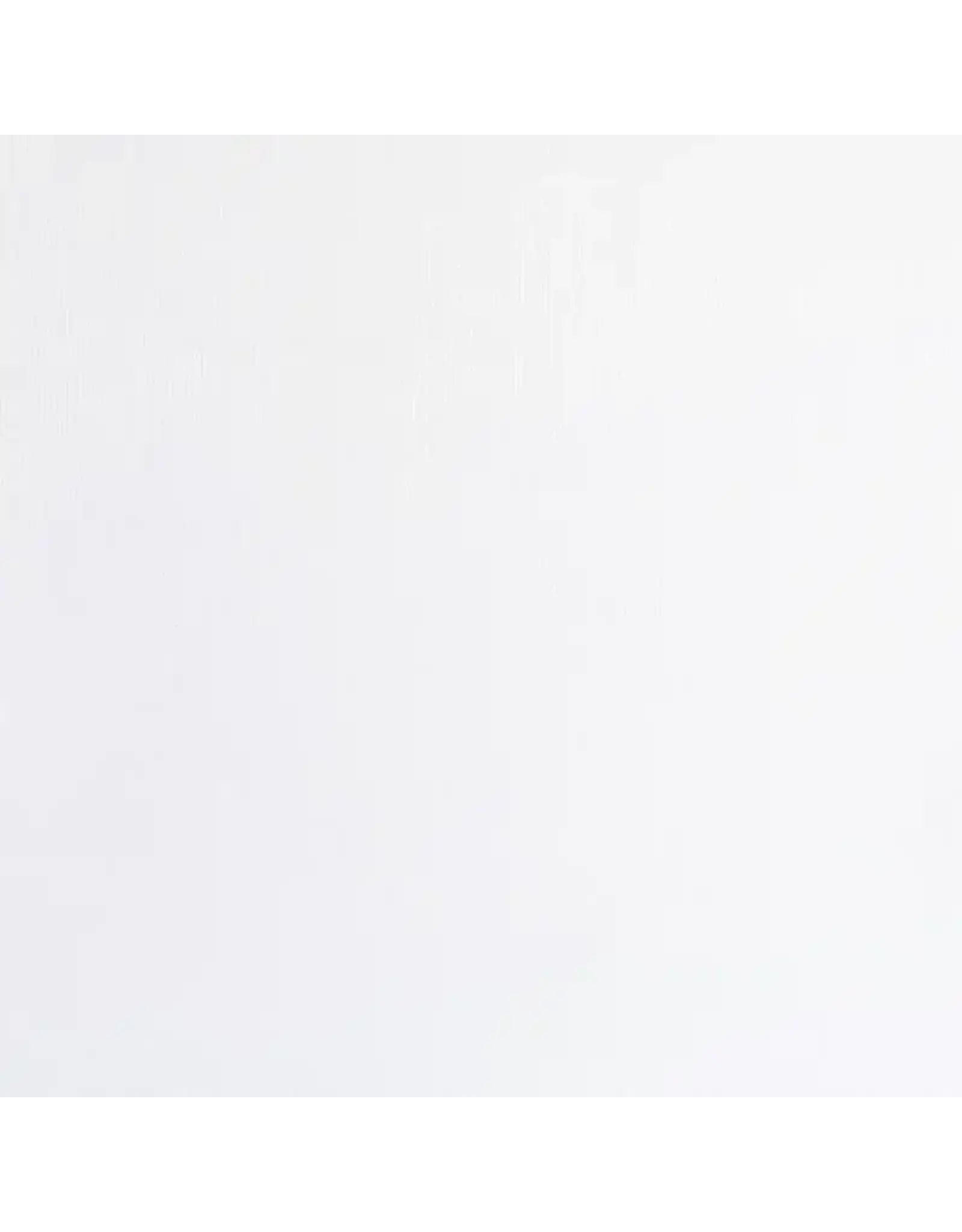 ENCORE PAPER ENCORE PAPER CANVAS TEXTURE SNOWY WHITE CARDSTOCK 12x12
