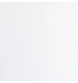 ENCORE PAPER ENCORE PAPER CANVAS TEXTURE SNOWY WHITE CARDSTOCK 12x12