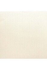 ENCORE PAPER ENCORE PAPER CANVAS TEXTURE LINEN CARDSTOCK 12x12