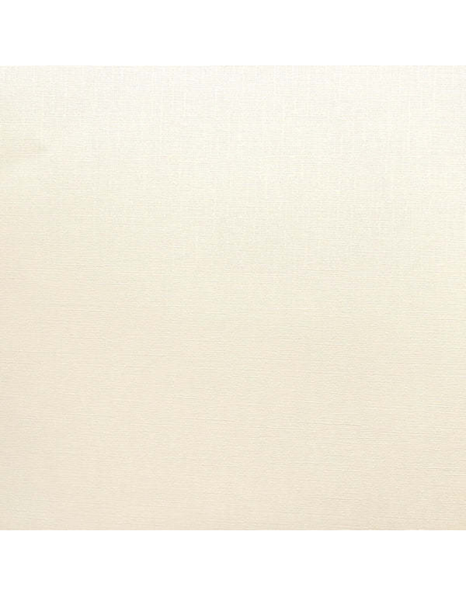 ENCORE PAPER ENCORE PAPER CANVAS TEXTURE LINEN CARDSTOCK 12x12