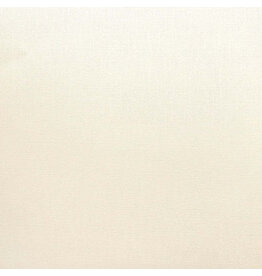 ENCORE PAPER ENCORE PAPER CANVAS TEXTURE LINEN CARDSTOCK 12x12
