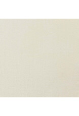 ENCORE PAPER ENCORE PAPER CANVAS TEXTURE RIVER ROCK CARDSTOCK 12x12