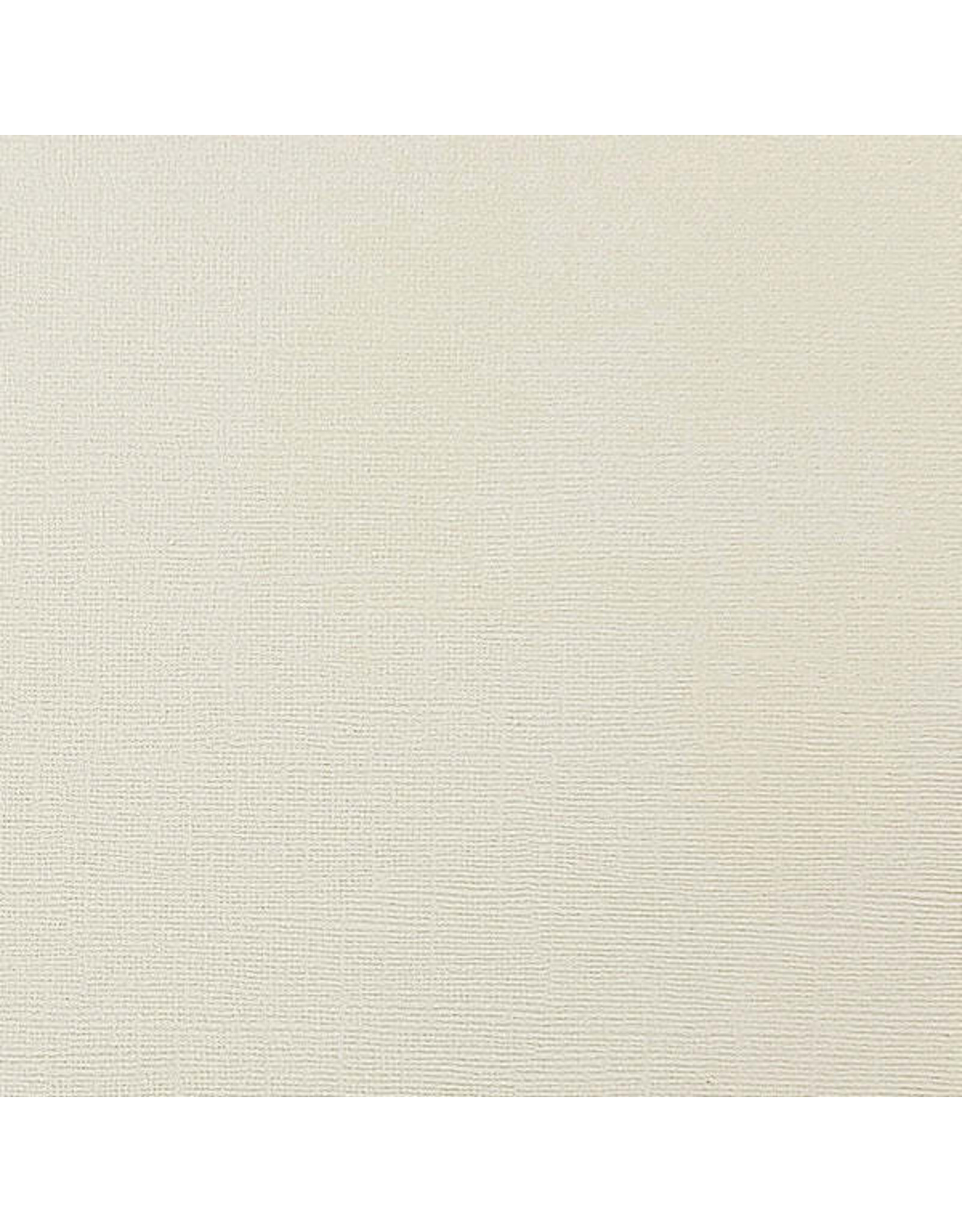 ENCORE PAPER ENCORE PAPER CANVAS TEXTURE RIVER ROCK CARDSTOCK 12x12
