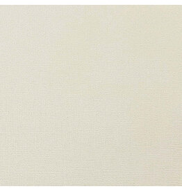 ENCORE PAPER ENCORE PAPER CANVAS TEXTURE RIVER ROCK CARDSTOCK 12x12