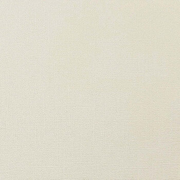 ENCORE PAPER ENCORE PAPER CANVAS TEXTURE RIVER ROCK CARDSTOCK 12x12