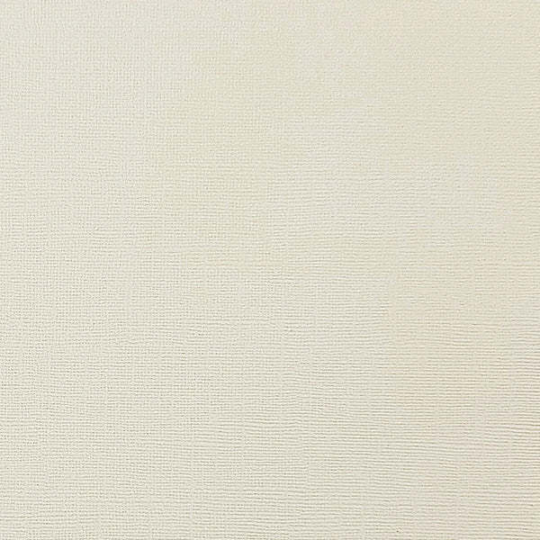 ENCORE PAPER ENCORE PAPER CANVAS TEXTURE RIVER ROCK CARDSTOCK 12x12