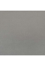 ENCORE PAPER ENCORE PAPER CANVAS TEXTURE CEMENT CARDSTOCK 12x12