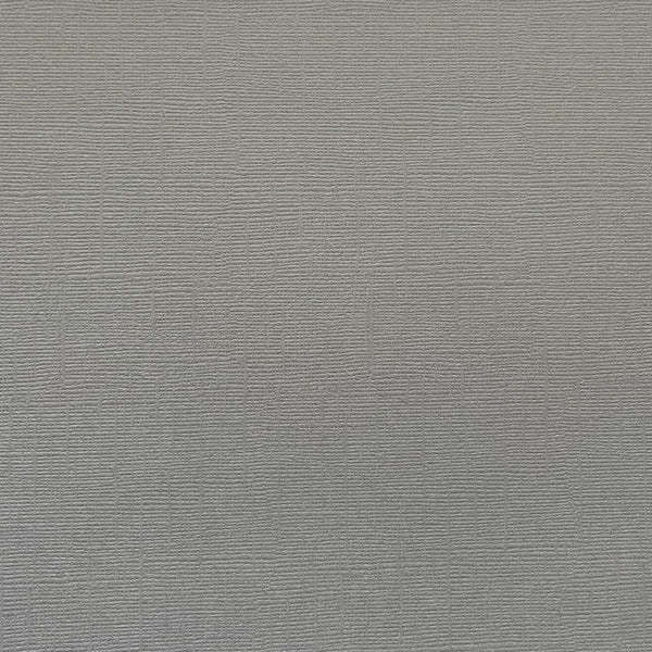 ENCORE PAPER ENCORE PAPER CANVAS TEXTURE CEMENT CARDSTOCK 12x12