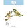 ELIZABETH CRAFT DESIGNS ELIZABETH CRAFT DESIGNS BLOOM WILDLY SPARROW DIE SET