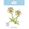 ELIZABETH CRAFT DESIGNS ELIZABETH CRAFT DESIGNS BLOOM WILDLY BLACKFOOT DAISY DIE SET