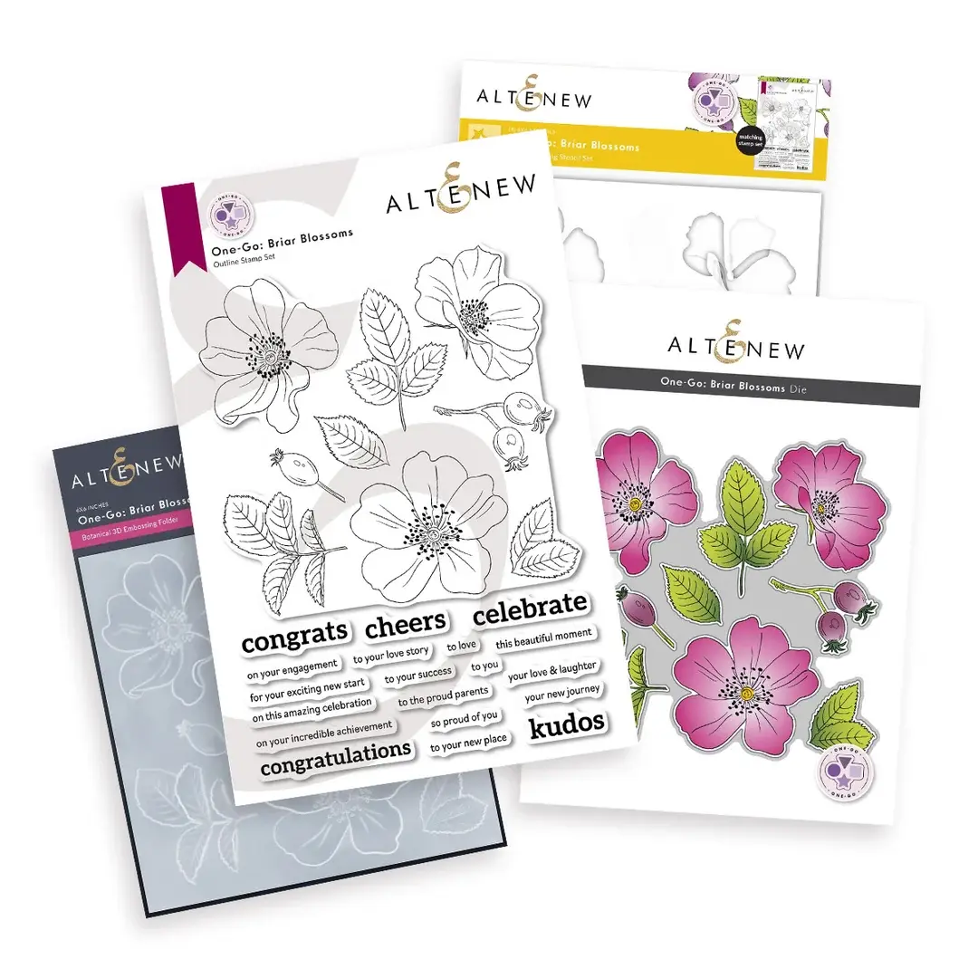 ALTENEW ALTENEW ONE-GO: BRIAR BLOSSOMS CLEAR STAMP, STENCIL SET, 3D EMBOSSING FOLDER AND DIE SET BUNDLE