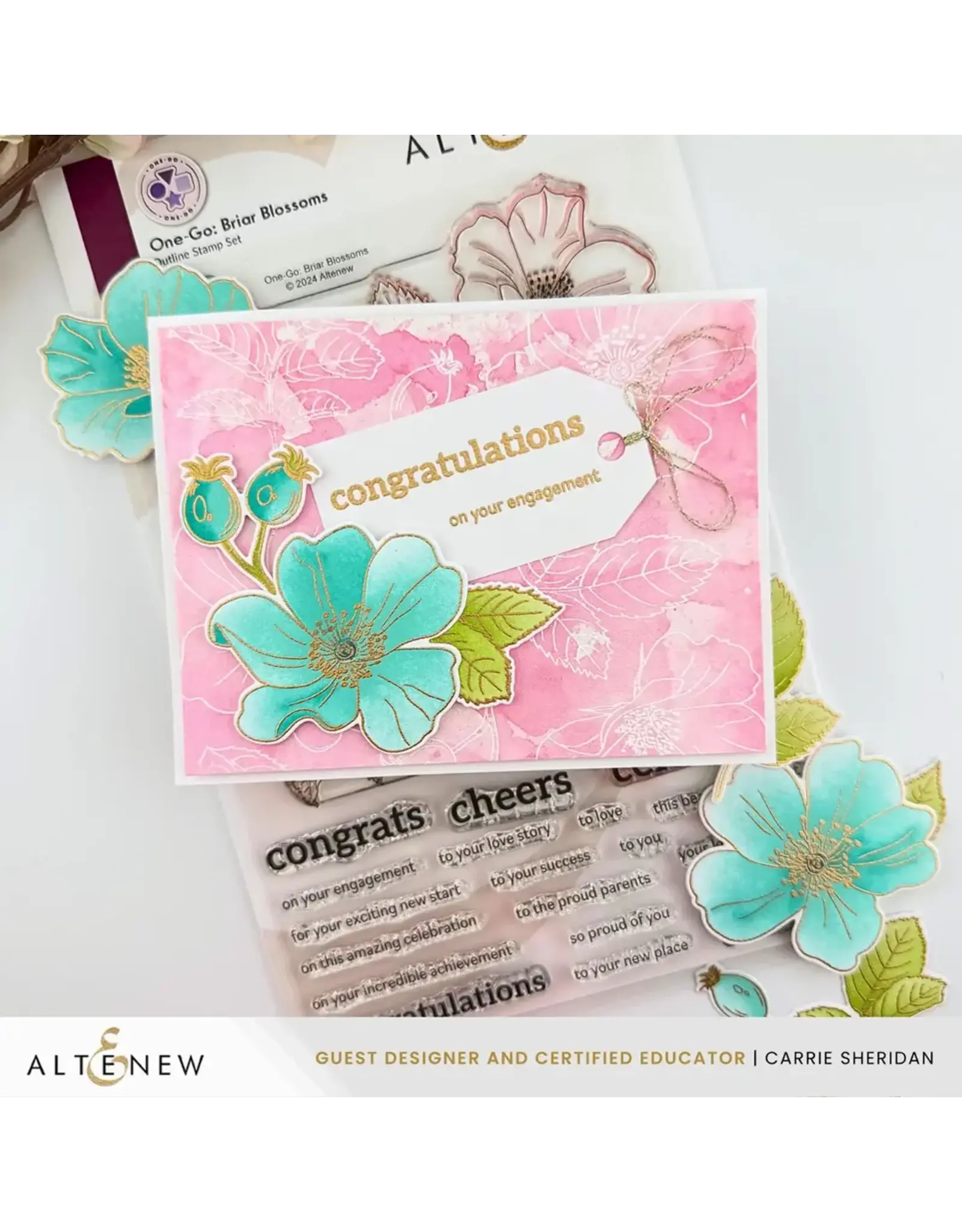 ALTENEW ALTENEW ONE-GO: BRIAR BLOSSOMS CLEAR STAMP, STENCIL SET, 3D EMBOSSING FOLDER AND DIE SET BUNDLE