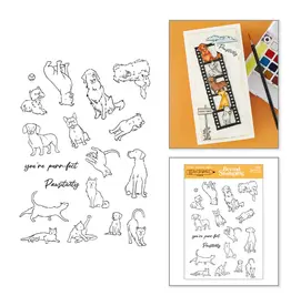SPELLBINDERS SPELLBINDERS JOSH GRIFFITHS STUDIO BEYOND STAMPING PAWSITIVITY #1 CLEAR STAMP SET