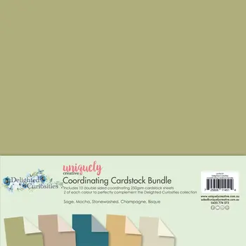 UNIQUELY CREATIVE UNIQUELY CREATIVE DELIGHTED CURIOSITIES 12x12 CARDSTOCK BUNDLE