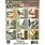 49 AND MARKET 49 AND MARKET CAMPFIRE MEMORIES 6x8 COLLECTION PACK 24 SHEETS