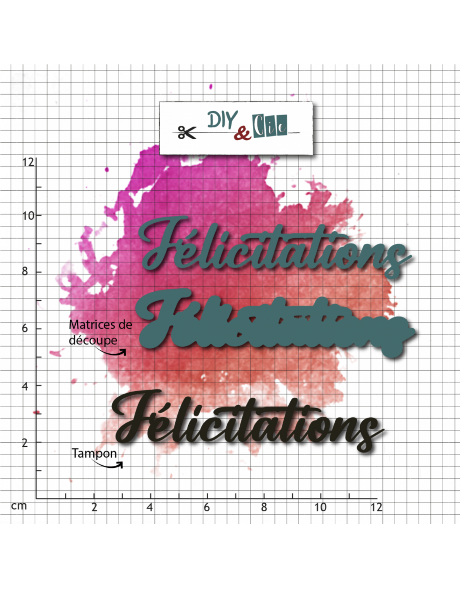 DIY & CIE DIY & CIE FÉLICITATION STAMP AND DIE SET