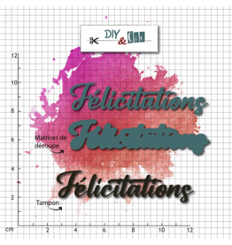 DIY & CIE DIY & CIE FÉLICITATION STAMP AND DIE SET