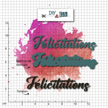 DIY & CIE DIY & CIE FÉLICITATION STAMP AND DIE SET
