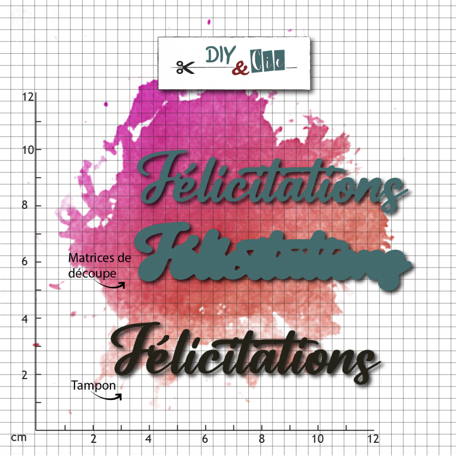 DIY & CIE DIY & CIE FÉLICITATION STAMP AND DIE SET