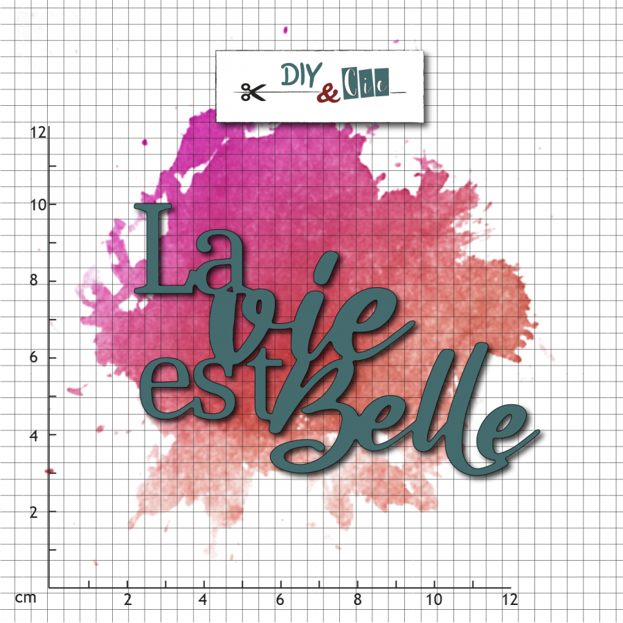 DIY & CIE DIY & CIE LA VIE EST BELLE DIE SET