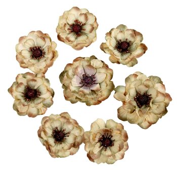 PRIMA PRIMA MADE OF MAGIC ENCHANTED GROVE PAPER FLOWERS 8/PK