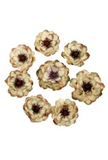 PRIMA PRIMA MADE OF MAGIC BOIS ENCHANTÉ FLEURS EN PAPIER 8/PK