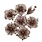 PRIMA PRIMA MADE OF MAGIC PHANTOM PETALS PAPER FLOWERS 7/PK