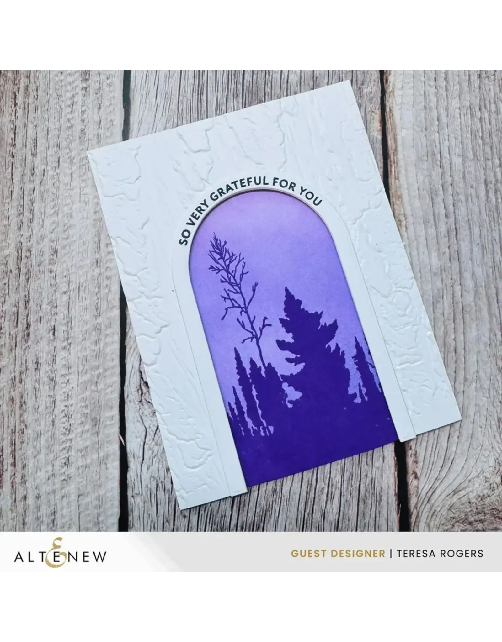 ALTENEW ALTENEW ARCHED SENTIMENTS CLEAR STAMP SET