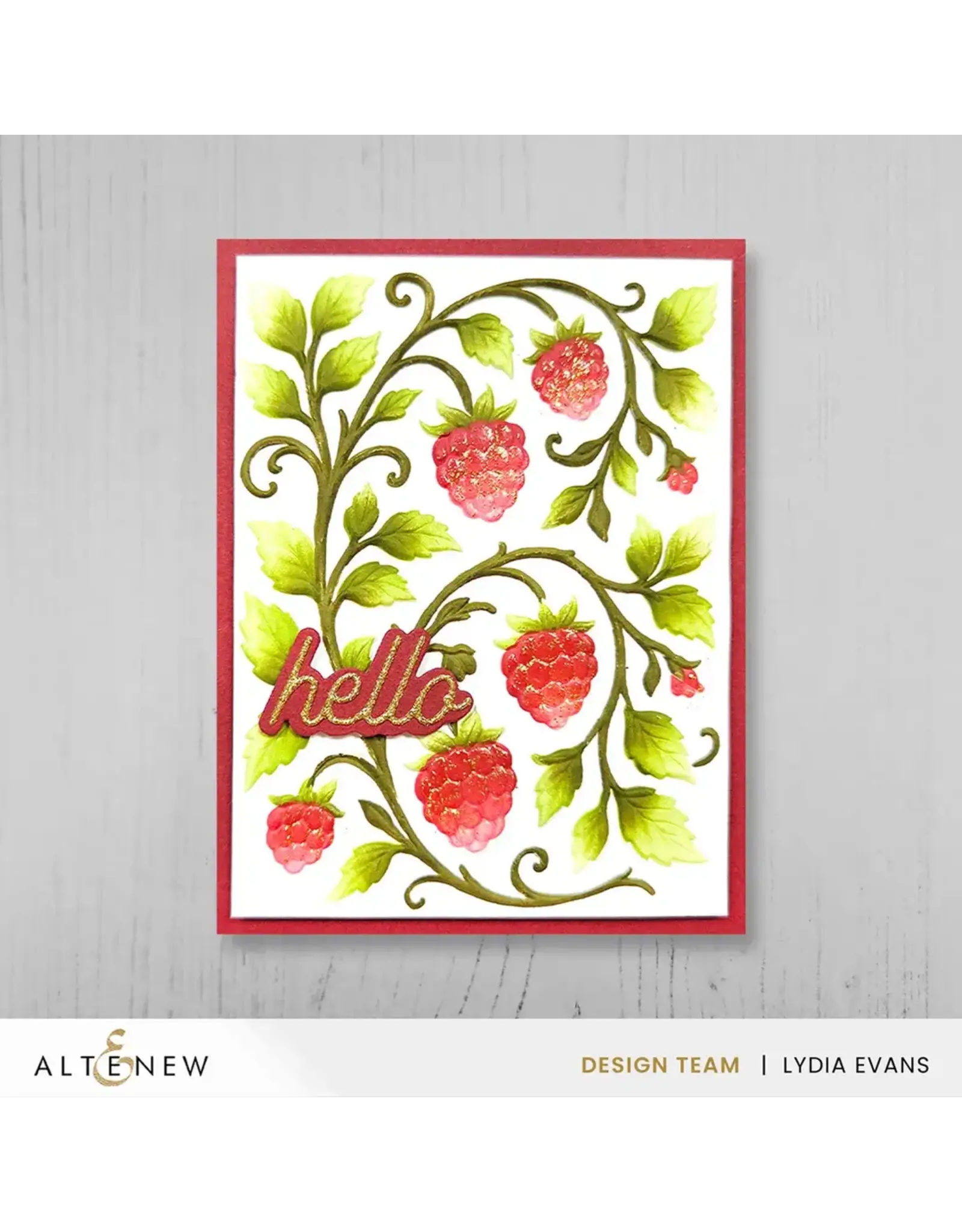 ALTENEW ALTENEW RASPBERRY BLISS 3D EMBOSSING FOLDER AND STENCIL SET BUNDLE