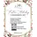 LDRS CREATIVE LDRS CREATIVE FESTIVE HOLIDAY CARD KIT