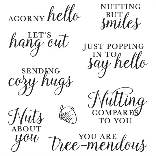 LDRS CREATIVE LDRS CREATIVE ACORNY HELLO SENTIMENTS CLEAR STAMP SET
