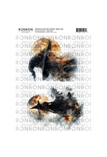 RONRON DESIGNS RONRON DESIGNS SORCIÈRE NOCTURNE PAPIER DE RIZ